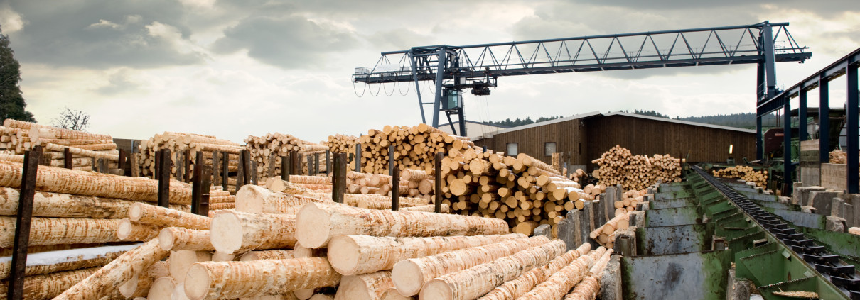 北米の良質な木材をきめ細やかな対応でお届け Axis Planning Inc
