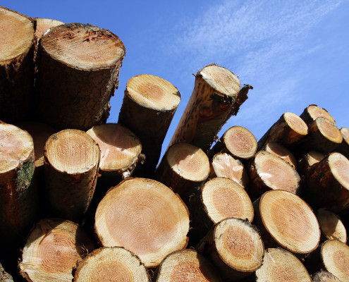canada lumber