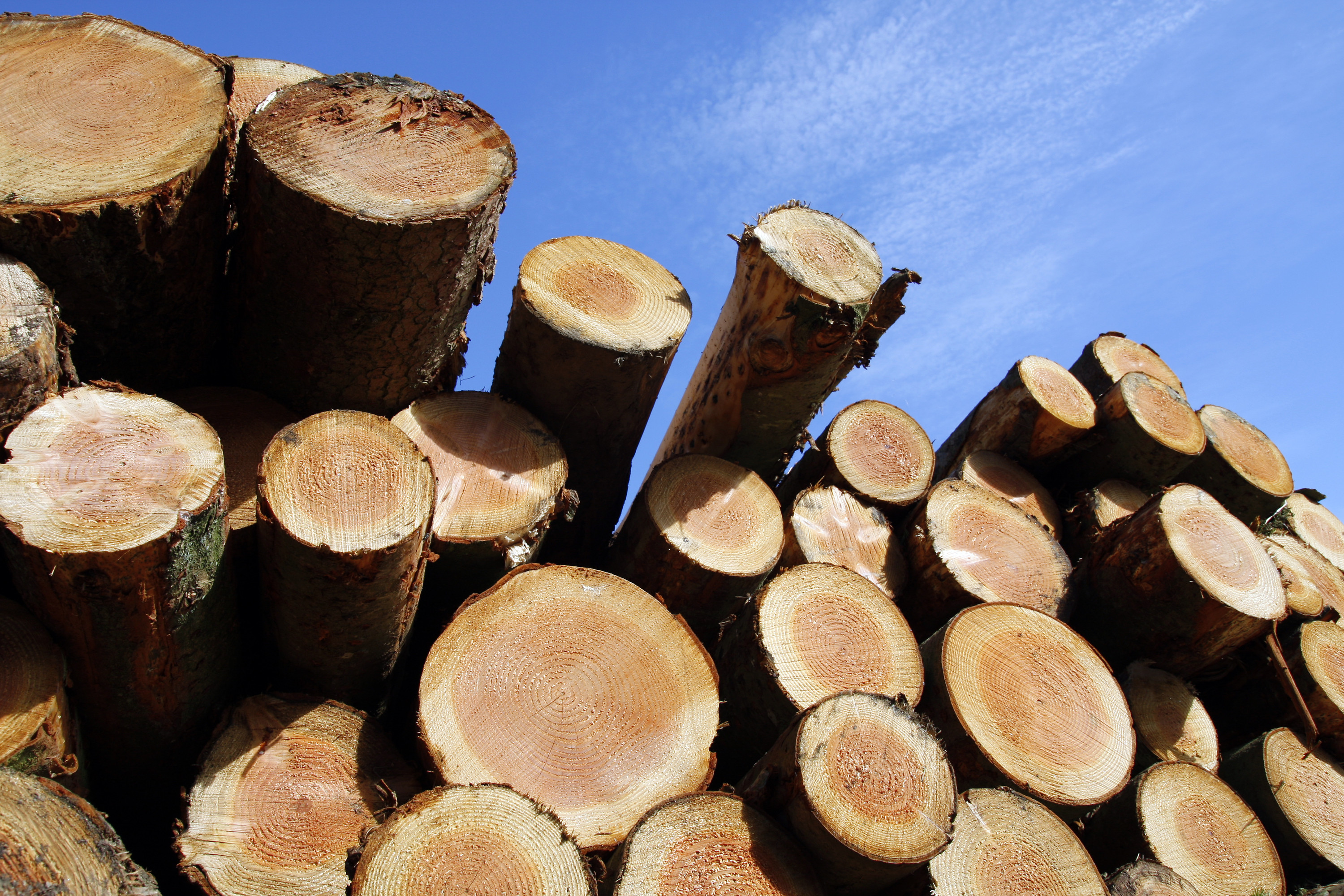 canada lumber