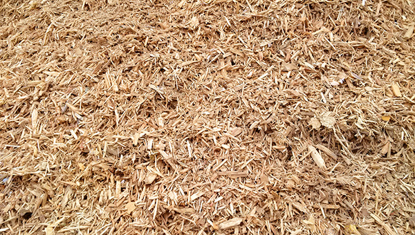 MSL recycle woodchips